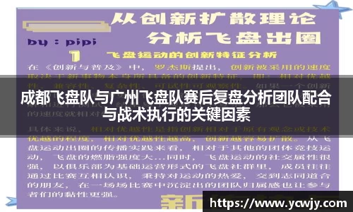 三亿体育APP