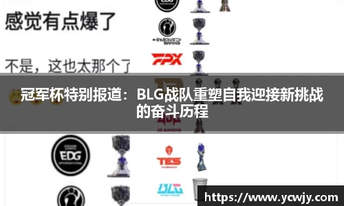 三亿体育APP