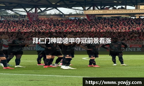 三亿体育官网