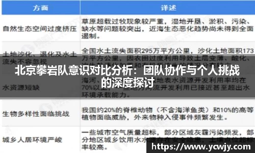 北京攀岩队意识对比分析：团队协作与个人挑战的深度探讨