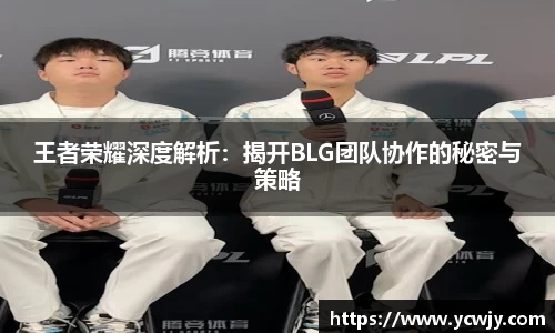 王者荣耀深度解析：揭开BLG团队协作的秘密与策略